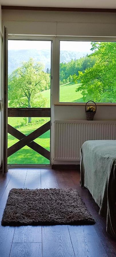 Gorski Widok Karpacz Apartamenty I Pokoje- Salon Kominkowy Dış mekan fotoğraf