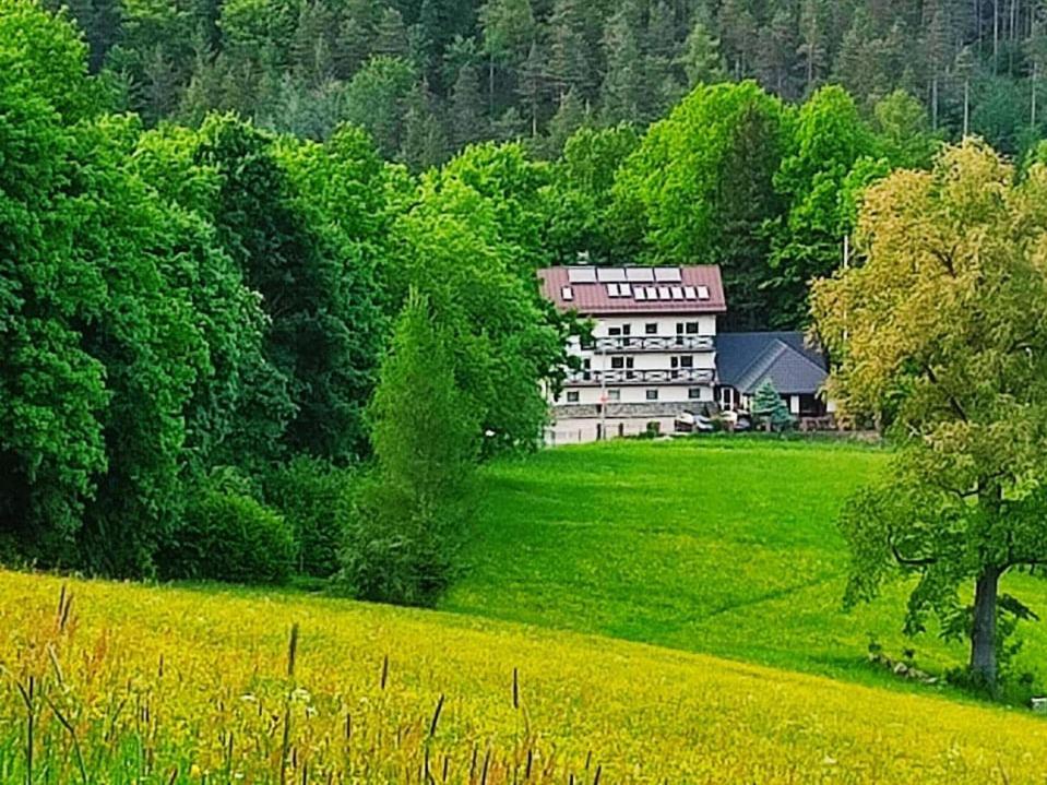 Gorski Widok Karpacz Apartamenty I Pokoje- Salon Kominkowy Dış mekan fotoğraf