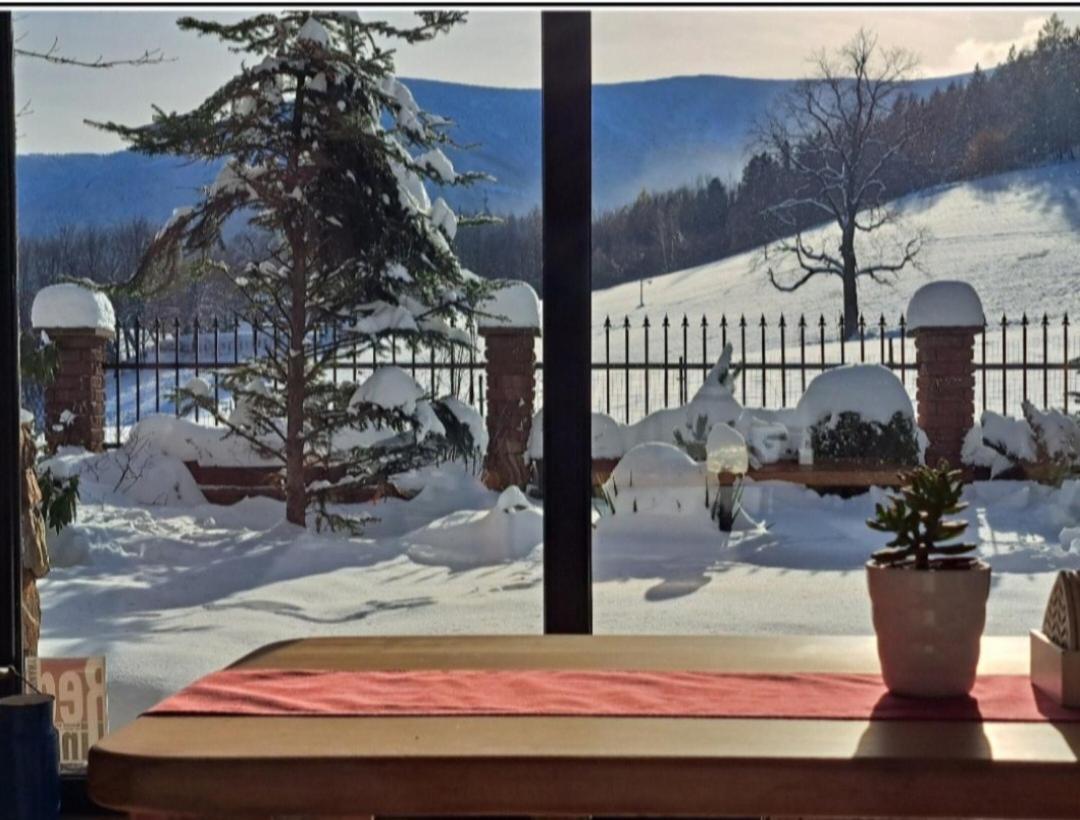 Gorski Widok Karpacz Apartamenty I Pokoje- Salon Kominkowy Dış mekan fotoğraf